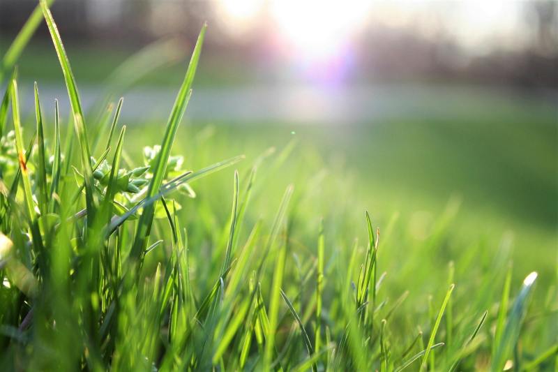Gates